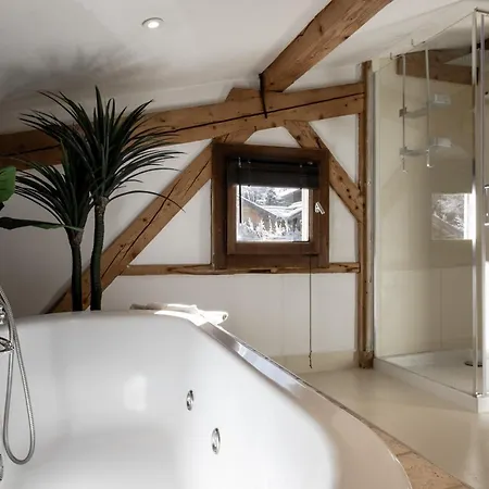 Chalet Des Grands Vanays Les Houches